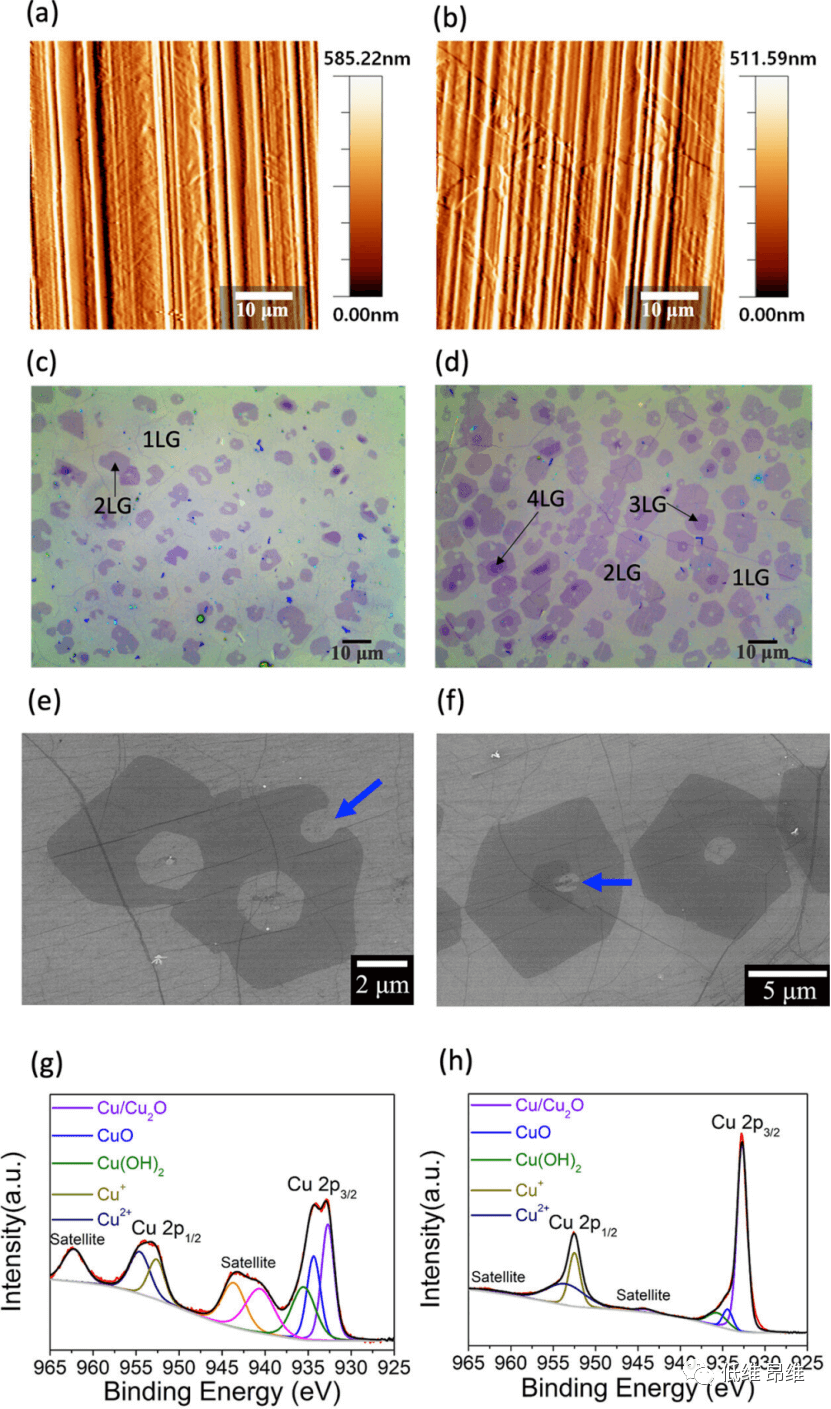 ACS Appl. Mater. Interfaces：具有随机双重来源的石墨烯基物理不可克隆函数