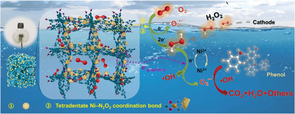 太原理工大学刘旭光教授ACB：基于Ni3(HITP)2/石墨烯复合气凝胶颗粒电极的三维原位自电解系统高效深度去除焦化废水中的苯酚
