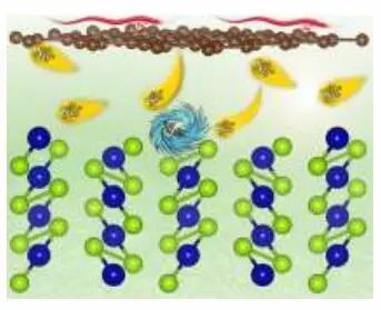 Angew：原子薄Co1-xSe2/石墨烯异质结构中的Co空位诱导的稳健赝电容Na+插层