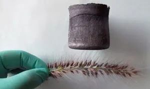 浙江大学高超教授：与石墨烯十余年的不解之缘，左手上书架，右手上货架！