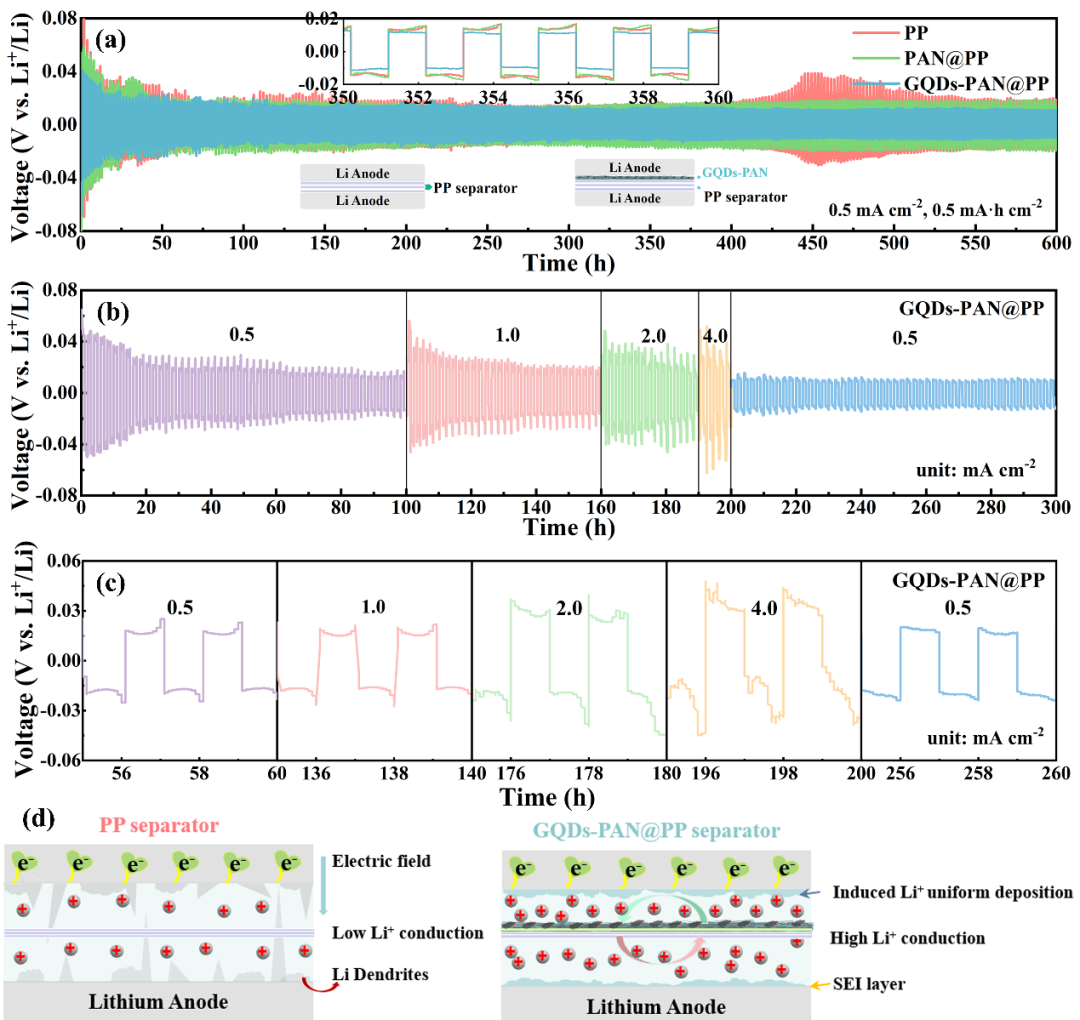 西安理工大学杨蓉教授团队JEC：石墨烯量子点作为亲硫和亲锂介质助力高稳定性和持久寿命锂硫电池