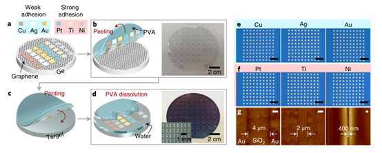 晶体管-石墨烯辅助金属转移印刷用于金属电极和二维材料的晶圆级集成