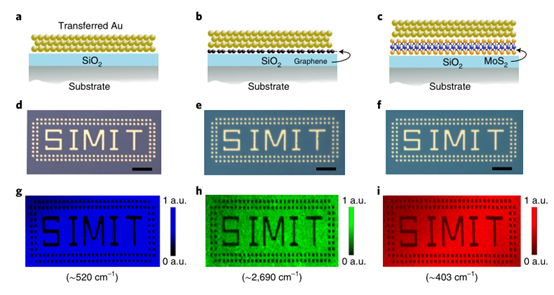 晶体管-石墨烯辅助金属转移印刷用于金属电极和二维材料的晶圆级集成