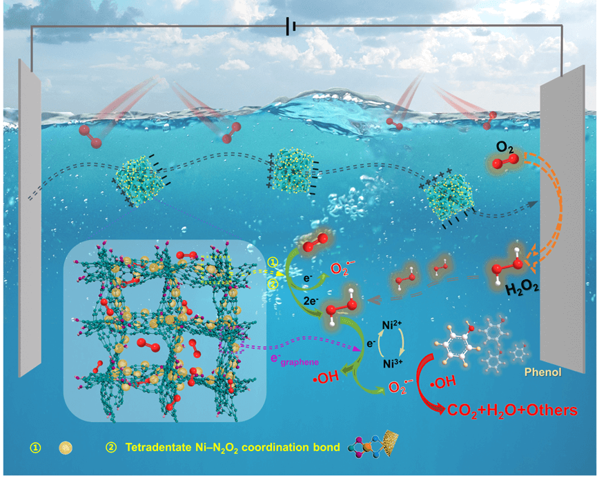 太原理工大学刘旭光教授ACB：基于Ni3(HITP)2/石墨烯复合气凝胶颗粒电极的三维原位自电解系统高效深度去除焦化废水中的苯酚