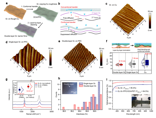 北大等《Nano Lett》：通过保形和清洁转移实现双层石墨烯的高保湿性能