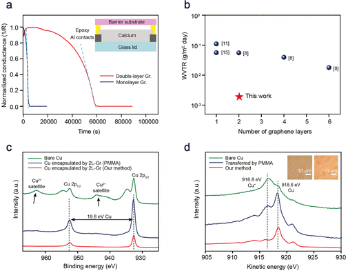 北大等《Nano Lett》：通过保形和清洁转移实现双层石墨烯的高保湿性能
