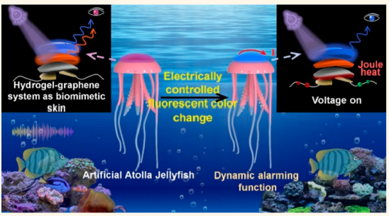 看！光/电响应的石墨烯水凝胶！十三色变！