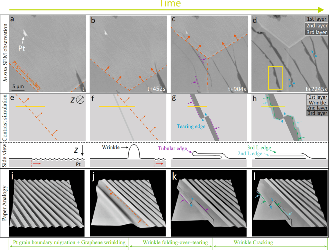 Nature Materials｜单层石墨烯一维褶皱到扭转角可控的多层石墨烯的转变机理