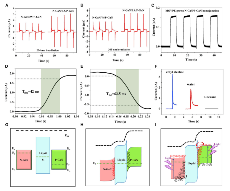 浙江大学林时胜教授：液态水分子基石墨烯异质光电探测器及血氧仪