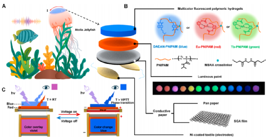 看！光/电响应的石墨烯水凝胶！十三色变！