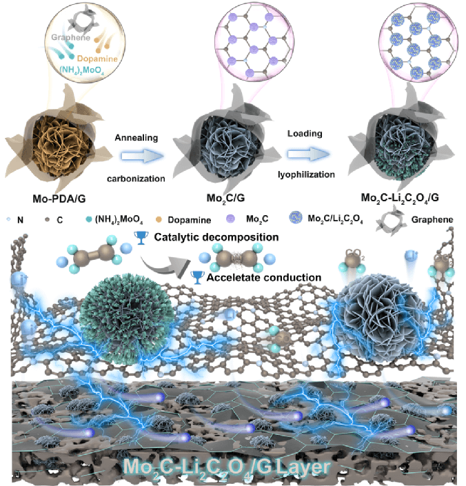 分级球状Mo2C/N掺杂石墨烯催化剂促进低压Li2C2O4预锂化