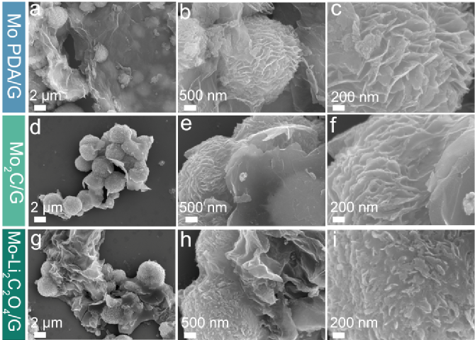 分级球状Mo2C/N掺杂石墨烯催化剂促进低压Li2C2O4预锂化