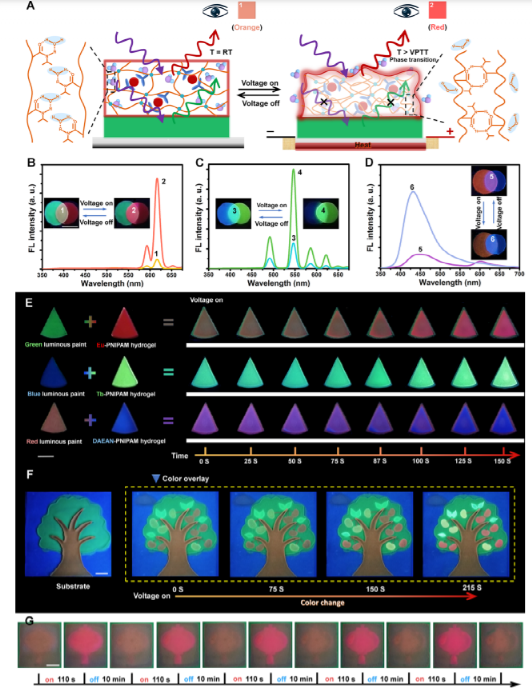 看！光/电响应的石墨烯水凝胶！十三色变！