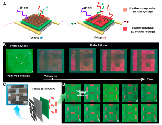 看！光/电响应的石墨烯水凝胶！十三色变！