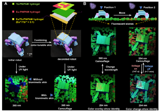 看！光/电响应的石墨烯水凝胶！十三色变！