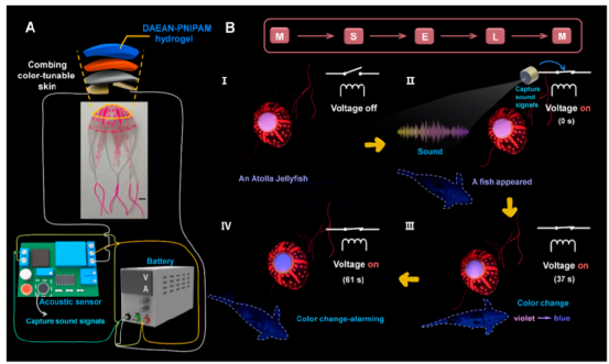 看！光/电响应的石墨烯水凝胶！十三色变！