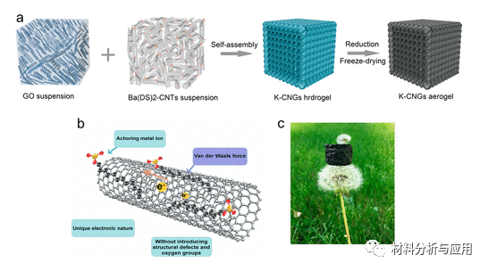 中南林业大学等《ACS AMI》：超轻GO杂化碳纳米管气凝胶，用于压阻传感器