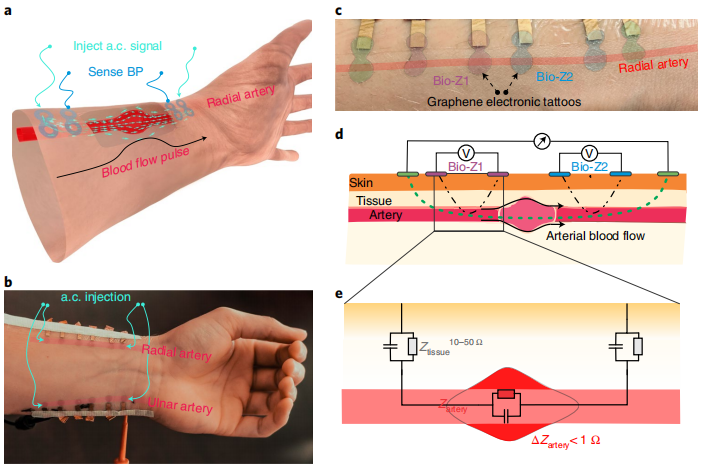 电子皮肤-通过石墨烯生物阻抗纹身连续无袖监测动脉血压