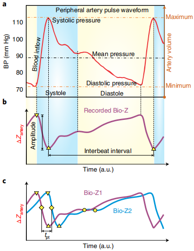 电子皮肤-通过石墨烯生物阻抗纹身连续无袖监测动脉血压