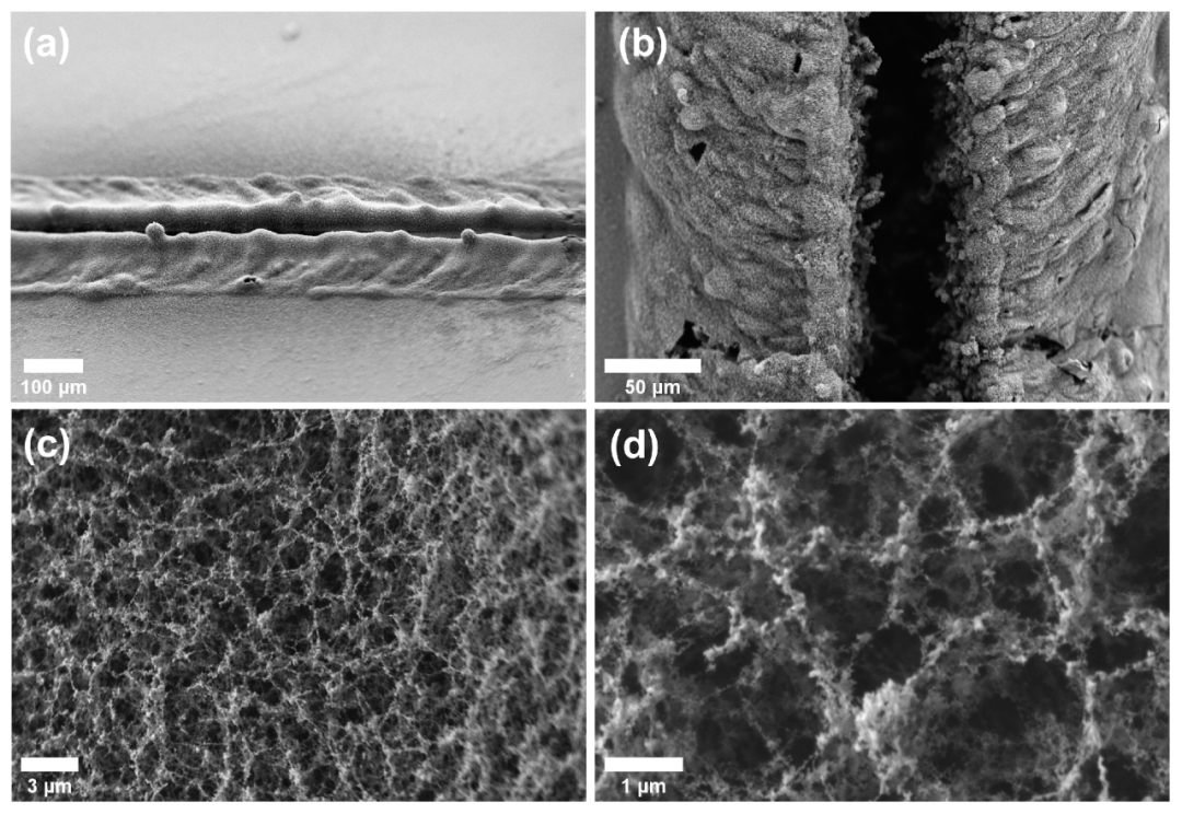 Applied Sciences：“石墨烯”主题文章精选 | MDPI 编辑荐读