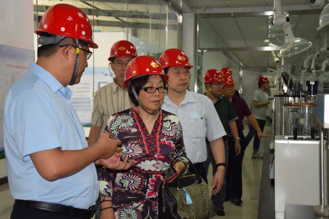 烯润科技“十三五”国家重点研发计划 “重大装备用矿物减摩修复材料制备技术及应用示范”课题生产示范线现场验收会完美收官