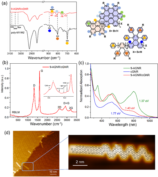 冯新亮/马骥团队Angew：链增长聚合助力石墨烯纳米带异质结的精准可控合成