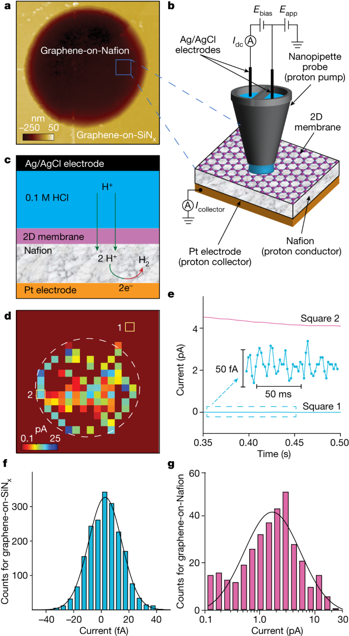 最新Nature：二维晶体中质子通过纳米尺度波纹的快速输运