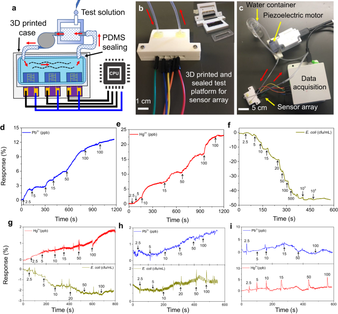 石墨烯新应用！实时监控水中毒素