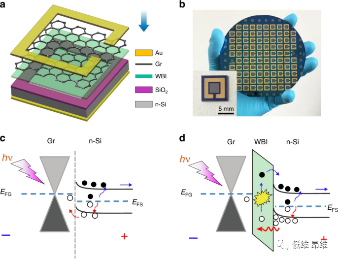 Light Sci. Appl.：石墨烯/硅异质结光电探测器的探测性能改进策略