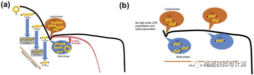 锂硫电池不得不面对的痛点：贫电解液条件带来的挑战！
