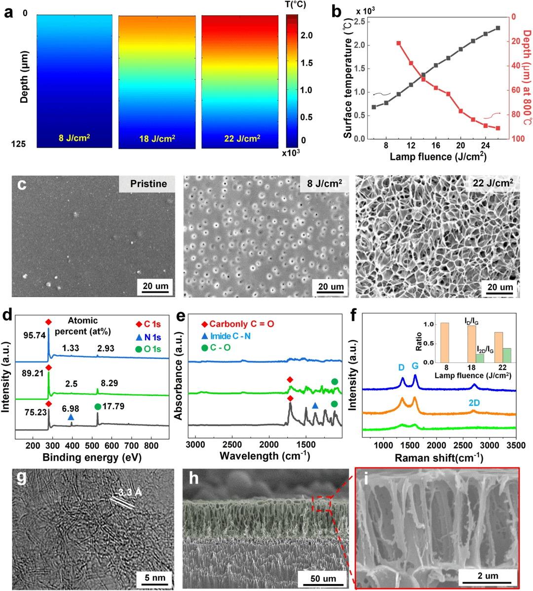 韩国科学技术院Keon Jae Lee教授等：通过协同光效应实现用于电磁屏蔽的激光诱导高通量多孔石墨烯