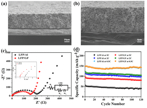 深圳大学《ACS SCE》：卷对卷规模制备高性能石墨烯组装薄膜碳集流体，用于锂离子电池