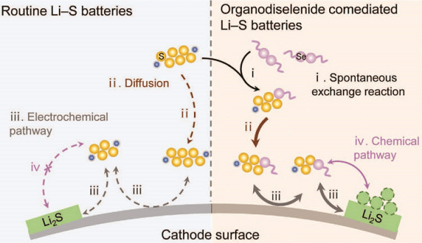 十篇顶刊！5分钟带你快速了解锂硫电池最新进展