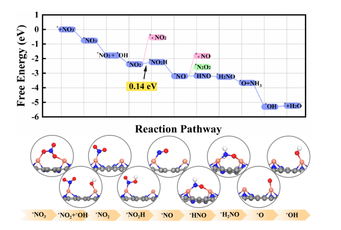 哈尔滨师范大学/兰州交通大学/吉林大学：嵌入在氮掺杂石墨烯上的同核双原子催化剂，以高效的硝酸盐还原为氨：从理论预测到实验验证