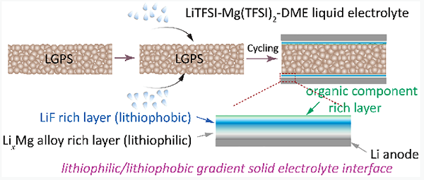 十篇顶刊！5分钟带你快速了解锂硫电池最新进展