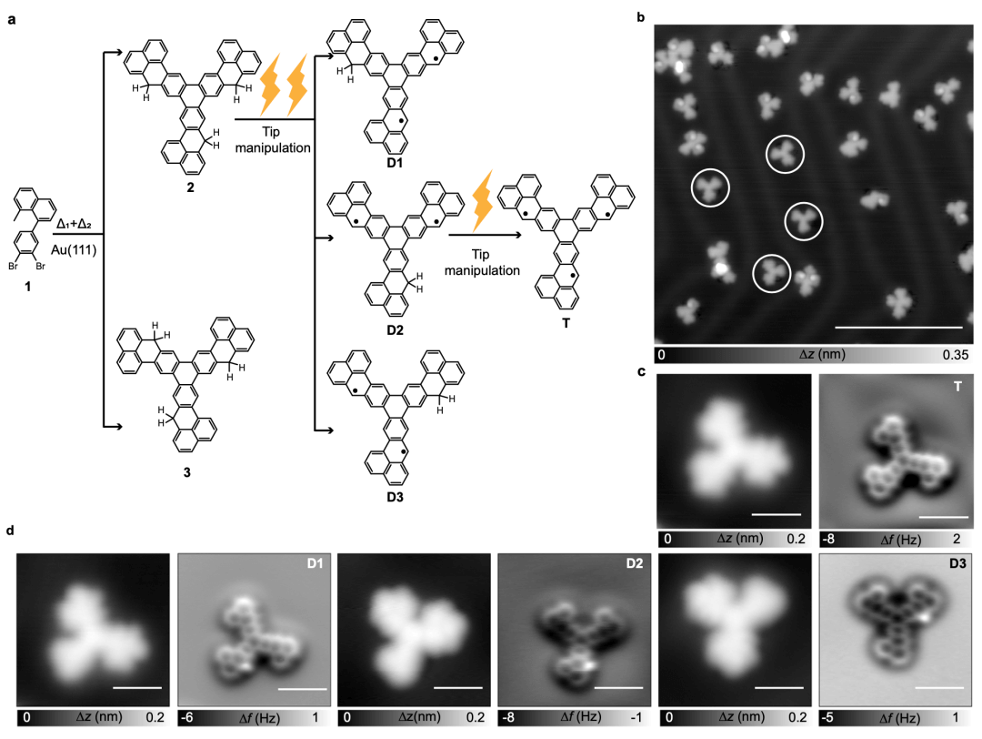 科研进展|上科大物质学院于平课题组与合作者发现分子轨道对称性对开壳纳米石墨烯磁耦合强度的影响