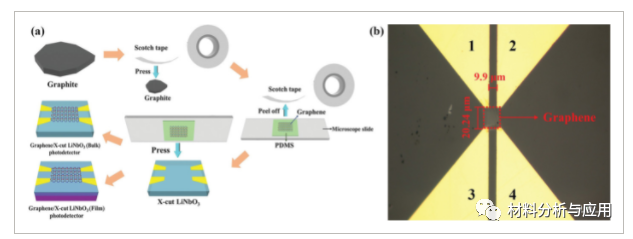 暨南大学《Adv. Optical Mater》：掺杂石墨烯材料在高性能光电探测的应用