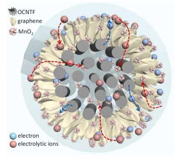 深圳大学《Nano Energy》：高性能OCNTF/3D-石墨烯/TMO电极线，用于线形柔性非对称超级电容器