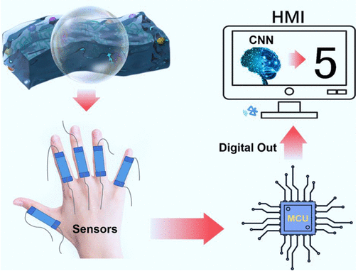 重庆大学《ACS AMI》：石墨烯增强水凝胶应变传感器进行康复训练的手势识别系统