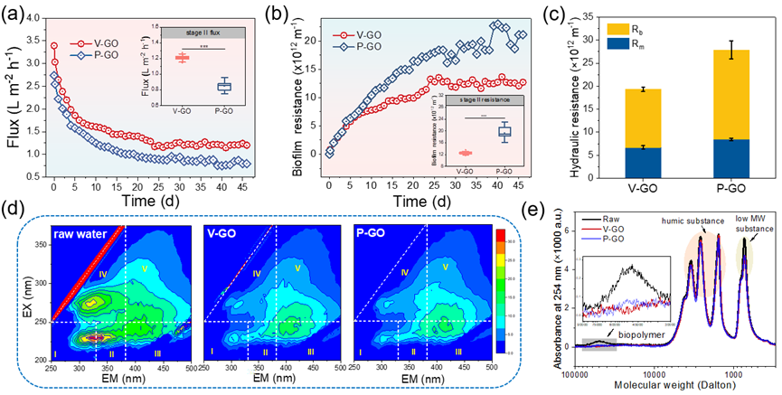 氧化石墨烯膜在实际水体中的长期过滤性能和生物污染行为