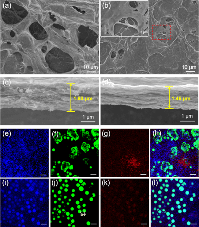 氧化石墨烯膜在实际水体中的长期过滤性能和生物污染行为