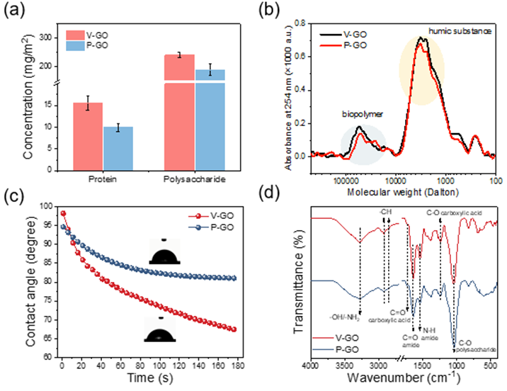 氧化石墨烯膜在实际水体中的长期过滤性能和生物污染行为