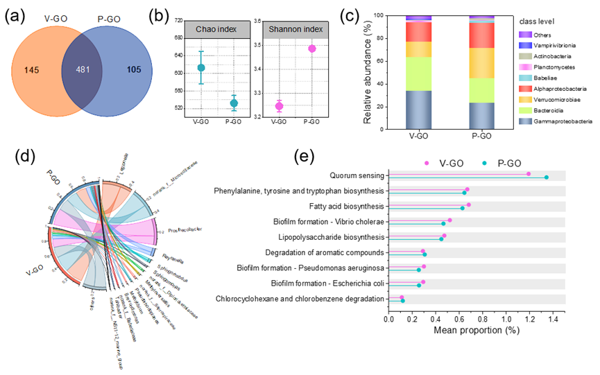氧化石墨烯膜在实际水体中的长期过滤性能和生物污染行为