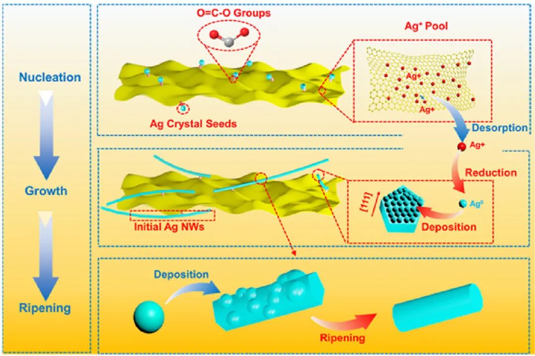 中科院煤化所陈成猛团队Carbon：一步石墨烯诱导策略实现了用于电磁干扰屏蔽的银纳米线的原位可控生长