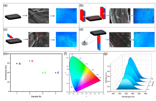 河北科技大学《ACS ANM》：磁场诱导石墨烯/纤维素导电复合材料，用于柔性可穿戴设备