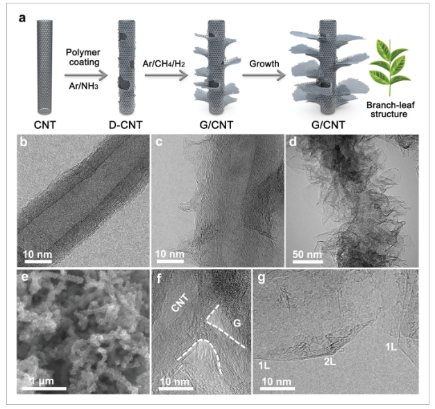 北京大学《AFM》：碳纳米管上的共价键合石墨烯片：直接生长和优异性能
