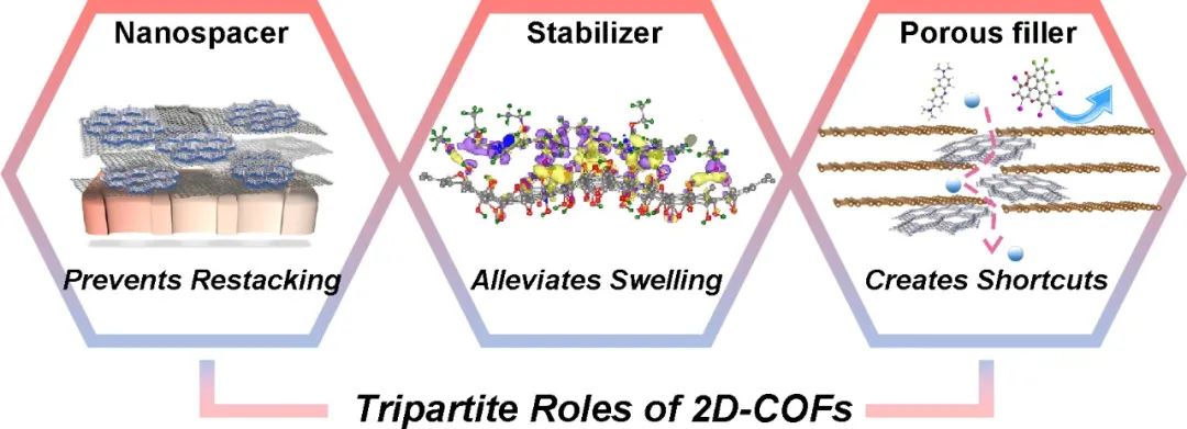 Matter：二维共价有机框架在石墨烯膜中的三重身份
