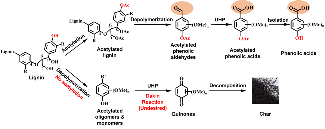 ChemSusChem：氧化石墨烯催化的温和条件下木质素选择性降解