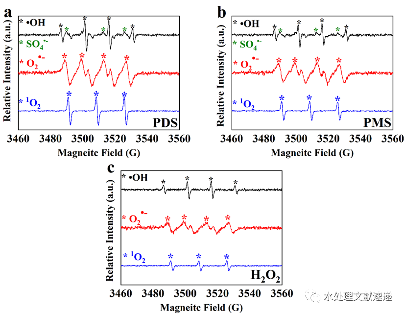 文献速递|苏州科技大学钱飞跃副教授PSEP：过氧化物类型对石墨烯基催化膜去除磺胺类抗生素效能和反应机理的影响