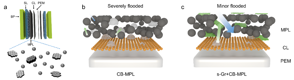 JPCL快讯｜石墨烯表面滑移促进的高性能质子交换膜燃料电池微孔层设计